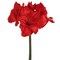 28" Red Amaryllis Stem - Set of 12, Lifelike Silk Flowers, Elegant Holiday Décor, Perfect for Christmas, Events & Home Displays, Floral Home by Artificial Flowers